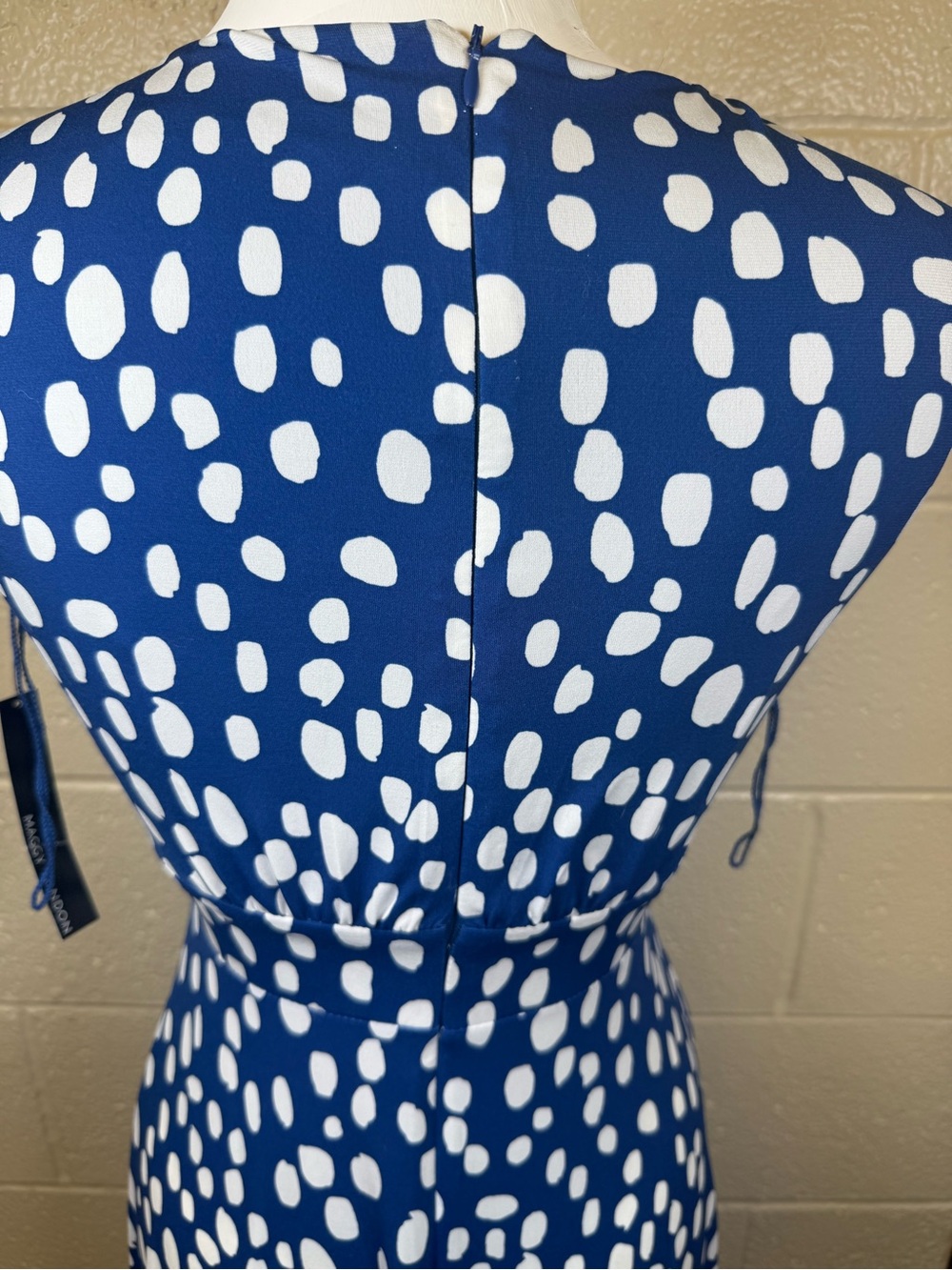 Maggy London Blue and White Sleeveless Maxi Dress with Dot Print - Picture 7 of 9